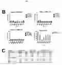Fig. 04 - Immunoconjugates Comprising Poxvirus-Derived Peptides and Antibodies Against Antigen-Presenting Cells for Subunit-Based Poxvirus Vaccines