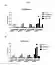 Fig. 06 - Immunoconjugates Comprising Poxvirus-Derived Peptides and Antibodies Against Antigen-Presenting Cells for Subunit-Based Poxvirus Vaccines