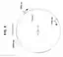 Fig. 09 - Infectious clones of torque teno virus