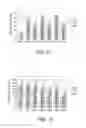 Fig. 06 - Viral adjuvants