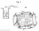 Fig. 06 - Continuous multi-microencapsulation process for improving the stability and storage life of biologically active ingredients