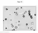 Fig. 15 - Continuous multi-microencapsulation process for improving the stability and storage life of biologically active ingredients