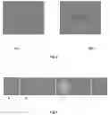 Fig. 03 - METHOD FOR PRODUCING A THREE-DIMENSIONAL MACROPOROUS FILAMENT CONSTRUCT BASED ON PHASE INVERSION AND CONSTRUCT THEREBY OBTAINED