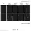 Fig. 32 - Method for opening tight junctions