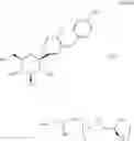 Fig. 04 - Pharmaceutical formulations containing an SGLT2 inhibitor