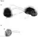 Fig. 04 - SCAFFOLDS