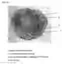 Fig. 08 - SCAFFOLDS