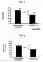 Fig. 02 - POULTRY DIET FOR IMPROVING TEXTURE