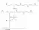 Fig. 09 - Coated Capillary Electrophoresis Tubes and System