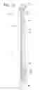 Fig. 10 - Personalizable Stationery Assemblies and Methods