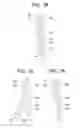 Fig. 17 - Personalizable Stationery Assemblies and Methods