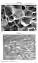 Fig. 08 - Thermoplastic foams and method of forming them using nano-graphite