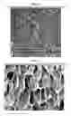 Fig. 09 - Thermoplastic foams and method of forming them using nano-graphite