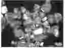 Fig. 01 - Method for preparing purified pyrocatechol