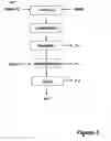 Fig. 04 - Method for preparing purified pyrocatechol