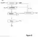 Fig. 07 - Method for preparing purified pyrocatechol