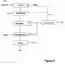 Fig. 09 - Method for preparing purified pyrocatechol
