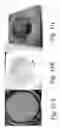 Fig. 32 - THERMAL SPRAY PROCESSES AND ALLOYS FOR USE IN SAME