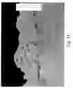 Fig. 34 - THERMAL SPRAY PROCESSES AND ALLOYS FOR USE IN SAME