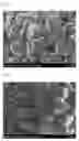Fig. 02 - Cathode active material for lithium secondary battery
