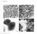 Fig. 06 - Catalyst materials and methods for reforming hydrocarbon fuels