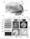 Fig. 07 - METHOD AND SYSTEM FOR QUANTITATIVE ASSESSMENT OF WORD IDENTIFICATION LATENCY