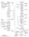 Fig. 18 - METHOD AND SYSTEM FOR QUANTITATIVE ASSESSMENT OF WORD IDENTIFICATION LATENCY