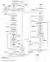 Fig. 19 - METHOD AND SYSTEM FOR QUANTITATIVE ASSESSMENT OF WORD IDENTIFICATION LATENCY