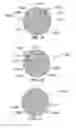 Fig. 22 - METHOD AND SYSTEM FOR QUANTITATIVE ASSESSMENT OF WORD IDENTIFICATION LATENCY