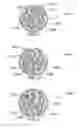 Fig. 24 - METHOD AND SYSTEM FOR QUANTITATIVE ASSESSMENT OF WORD IDENTIFICATION LATENCY