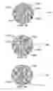 Fig. 25 - METHOD AND SYSTEM FOR QUANTITATIVE ASSESSMENT OF WORD IDENTIFICATION LATENCY