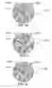 Fig. 27 - METHOD AND SYSTEM FOR QUANTITATIVE ASSESSMENT OF WORD IDENTIFICATION LATENCY