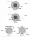 Fig. 29 - METHOD AND SYSTEM FOR QUANTITATIVE ASSESSMENT OF WORD IDENTIFICATION LATENCY