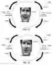 Fig. 34 - METHOD AND SYSTEM FOR QUANTITATIVE ASSESSMENT OF WORD IDENTIFICATION LATENCY