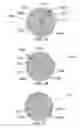 Fig. 22 - METHOD AND SYSTEM FOR QUANTITATIVE ASSESSMENT OF WORD RECOGNITION SENSITIVITY