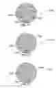 Fig. 30 - METHOD AND SYSTEM FOR QUANTITATIVE ASSESSMENT OF WORD RECOGNITION SENSITIVITY