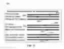 Fig. 12 - METHOD AND SYSTEM FOR QUANTITATIVE ASSESSMENT OF WORD DETECTION LATENCY