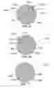 Fig. 22 - METHOD AND SYSTEM FOR QUANTITATIVE ASSESSMENT OF WORD DETECTION LATENCY