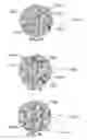 Fig. 25 - METHOD AND SYSTEM FOR QUANTITATIVE ASSESSMENT OF WORD DETECTION LATENCY