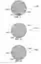 Fig. 30 - METHOD AND SYSTEM FOR QUANTITATIVE ASSESSMENT OF WORD DETECTION LATENCY
