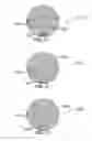 Fig. 30 - Method and system for quantitative assessment of verbal memory