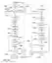 Fig. 19 - Method and system for quantitative assessment of facial emotion sensitivity