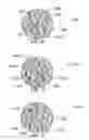 Fig. 24 - Method and system for quantitative assessment of facial emotion sensitivity