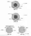 Fig. 29 - Method and system for quantitative assessment of facial emotion sensitivity