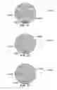 Fig. 30 - Method and system for quantitative assessment of facial emotion sensitivity