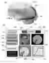 Fig. 07 - METHOD AND SYSTEM FOR QUANTITATIVE ASSESSMENT OF SOCIAL CUES SENSITIVITY