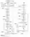 Fig. 19 - METHOD AND SYSTEM FOR QUANTITATIVE ASSESSMENT OF SOCIAL CUES SENSITIVITY