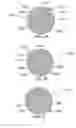 Fig. 22 - METHOD AND SYSTEM FOR QUANTITATIVE ASSESSMENT OF SOCIAL CUES SENSITIVITY