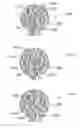 Fig. 24 - METHOD AND SYSTEM FOR QUANTITATIVE ASSESSMENT OF SOCIAL CUES SENSITIVITY