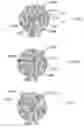 Fig. 26 - METHOD AND SYSTEM FOR QUANTITATIVE ASSESSMENT OF SOCIAL CUES SENSITIVITY